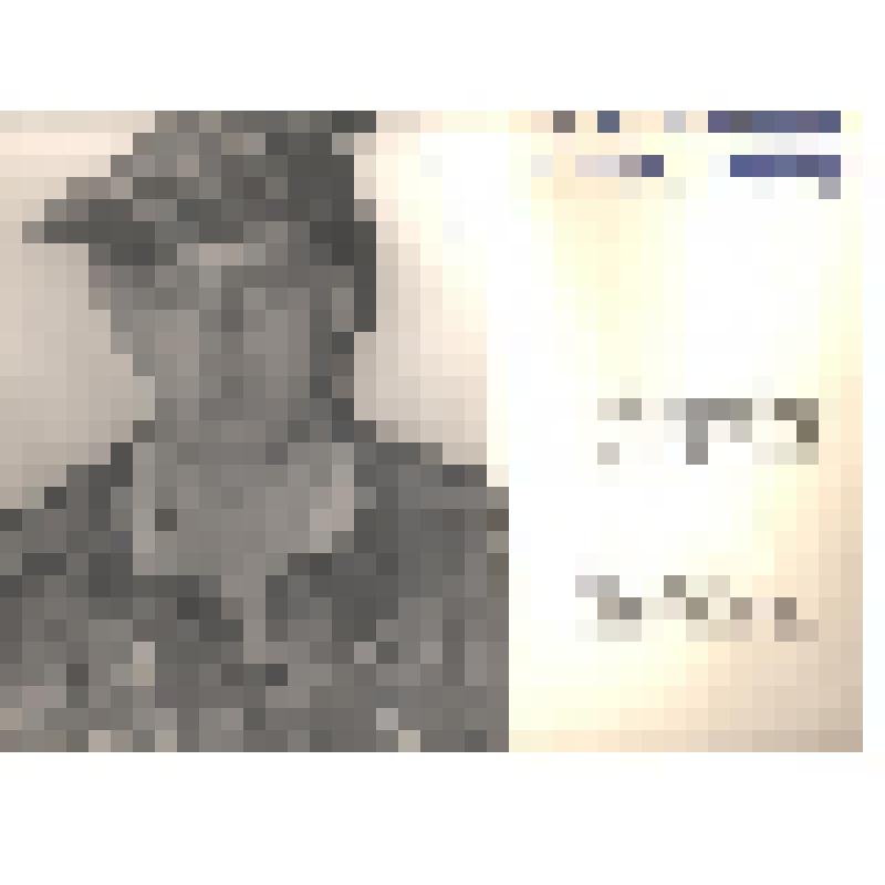 Фотография     "Коковкин Александр, замкомвзвода."