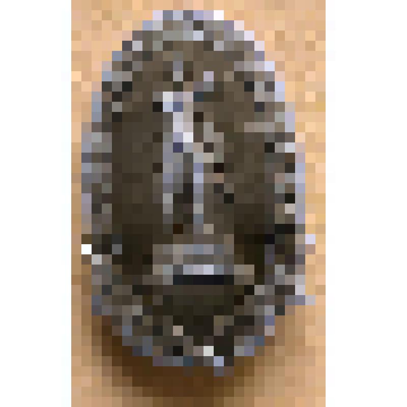 Значок. Александр Суворов