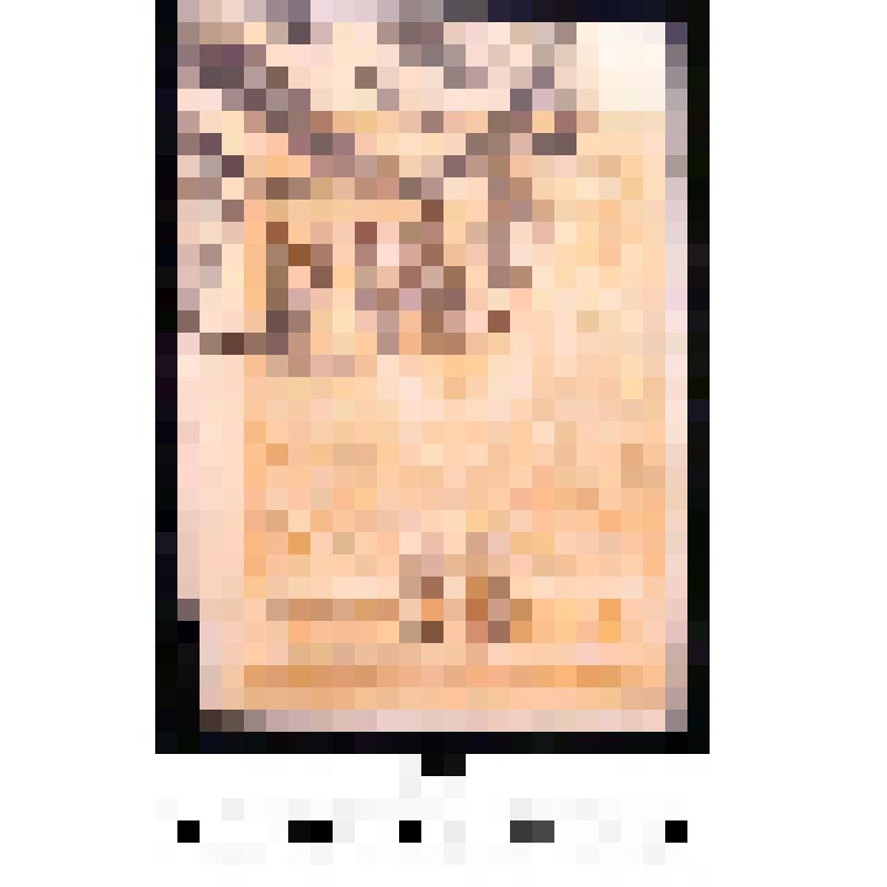 Марка почтовая, номиналом 25 копеек. Надпечатка нового номинала на марке в 1 копейку 1917 г. выпуска