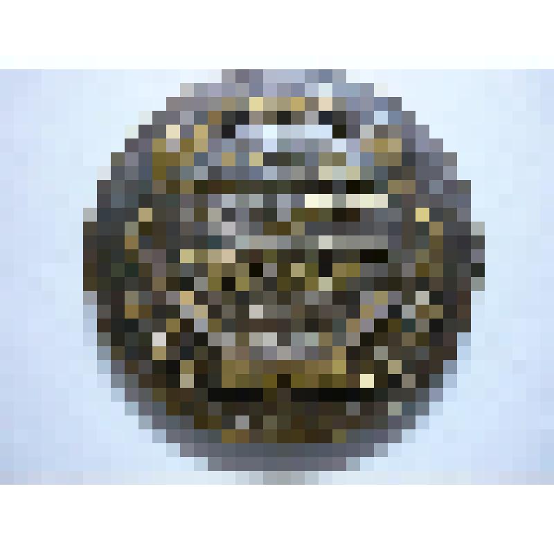 Медаль. От спортсменов России (Н.Ощепкова)