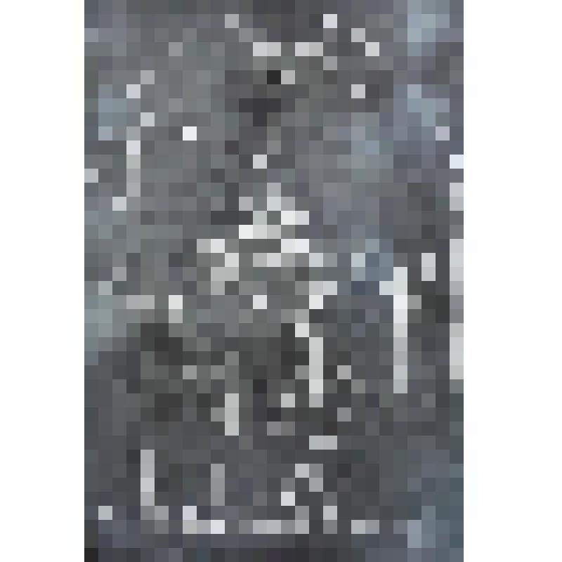 Картина "Посвящение богине Умай", 2017 г