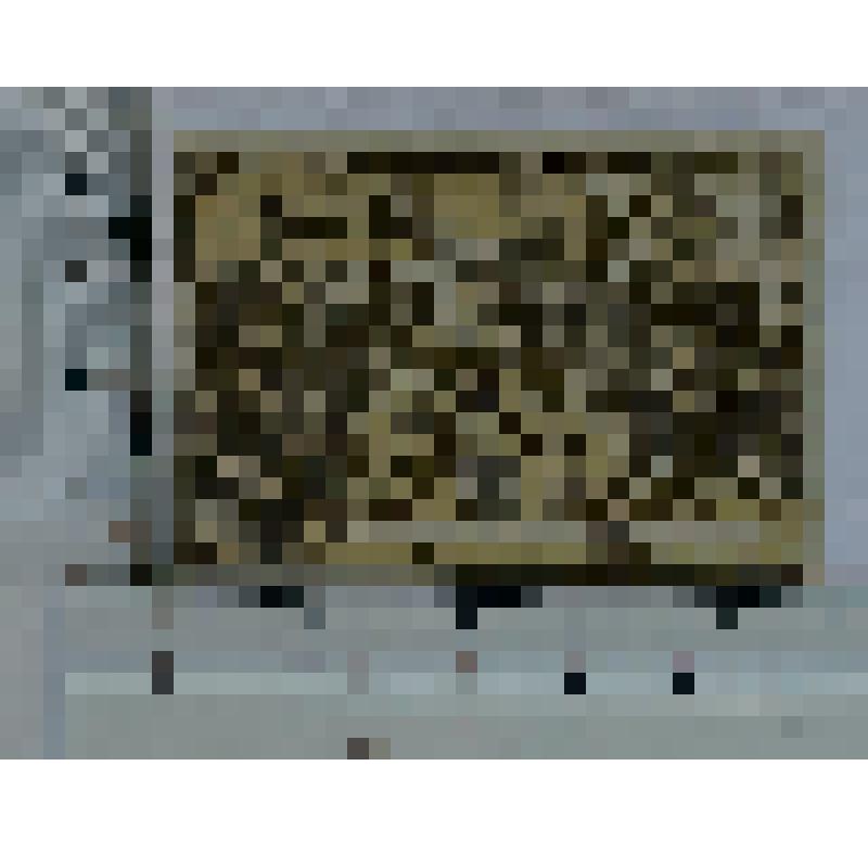 Германия, Траунштайн (Traunstein). Нотгельд. 10 пфеннигов. 1 мая 1920 г. до 1 января 1921 г