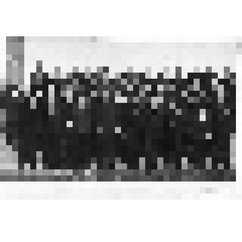 Фотография. Ветераны войны района. 1975 г