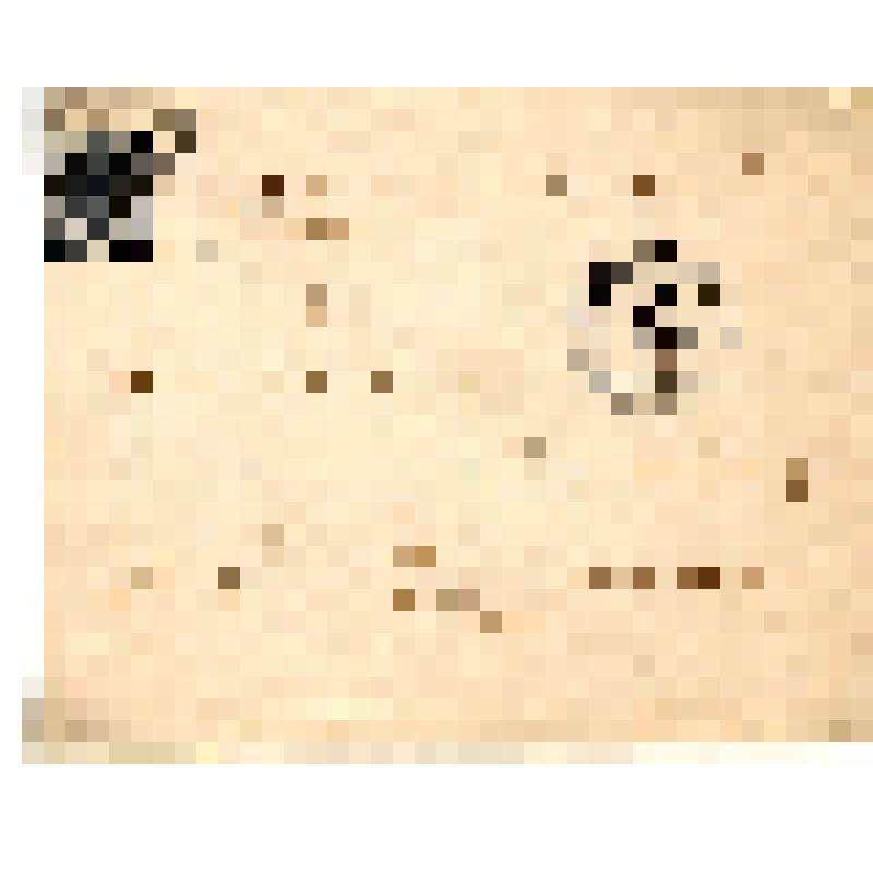 Конверт для письма Мариэтты Сергеевны Шагинян к  матери Пепронэ Яковлевне Шагинян