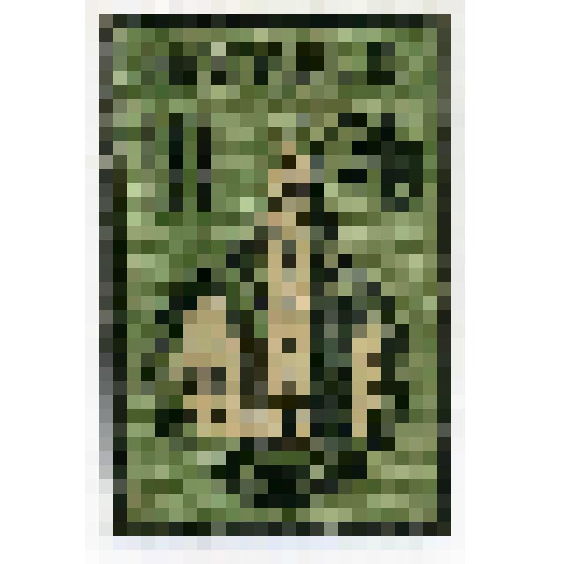 Бумажный денежный знак. Нотгельд г. Саарбрюккен. Башня. 10 пфеннигов. Германия (Веймарская республика)