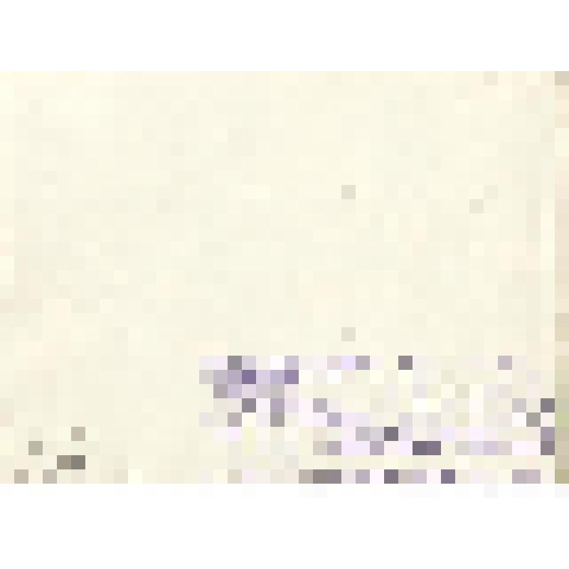 Фотография. Педагогический коллектив восьмилетней школы № 2