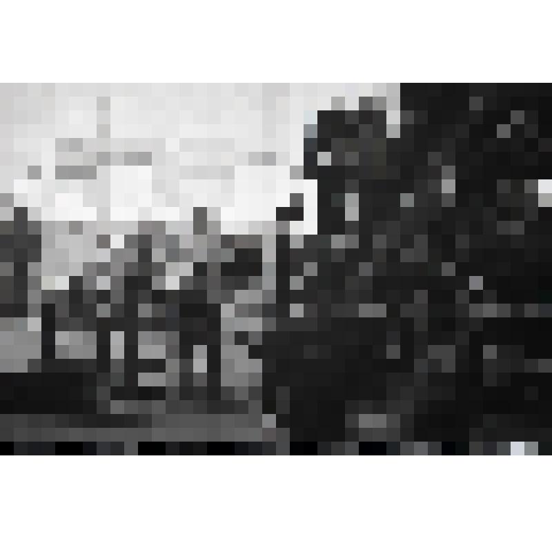 негатив черно-белый "Проведение коммунистического субботника 22апреля 1979 года в Депо станции Инта -1, групповой снимок"