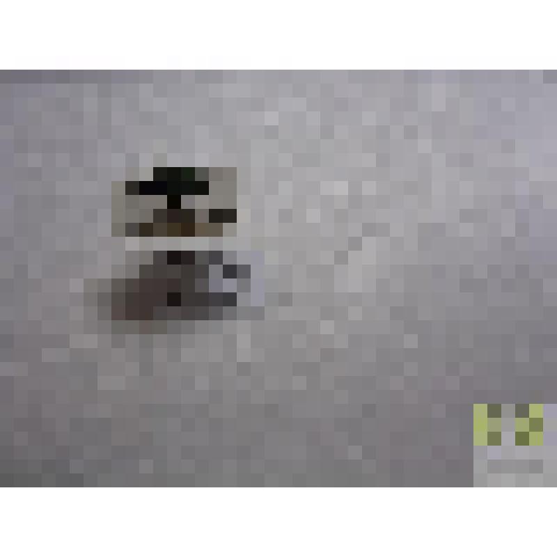 Бегун схожий  (Harpalus affinis Schrnk.)