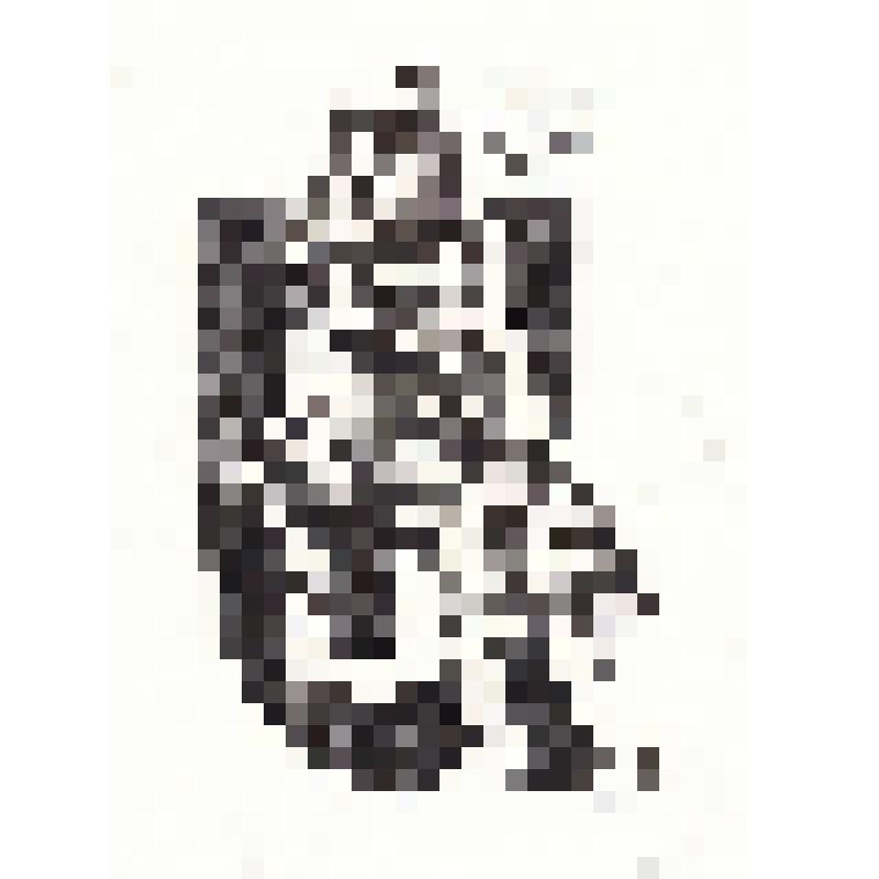 Экслибрис "Ex Libris Е. Шатько"