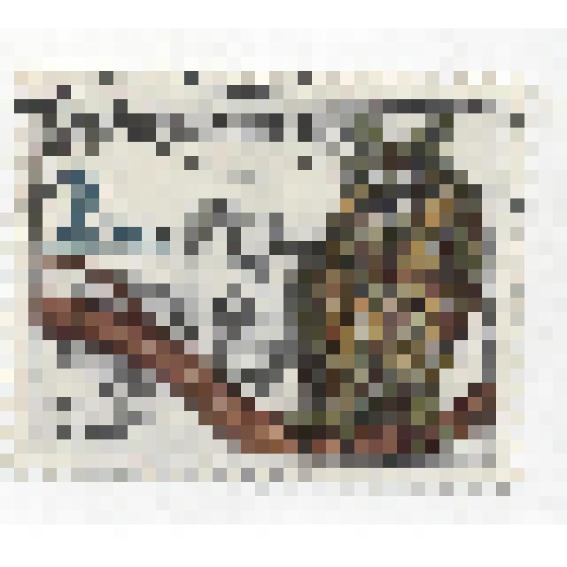 "Calons usaty - Asio otus". Чехословакия, 1986 г. Гашеная. Марка почтовая
