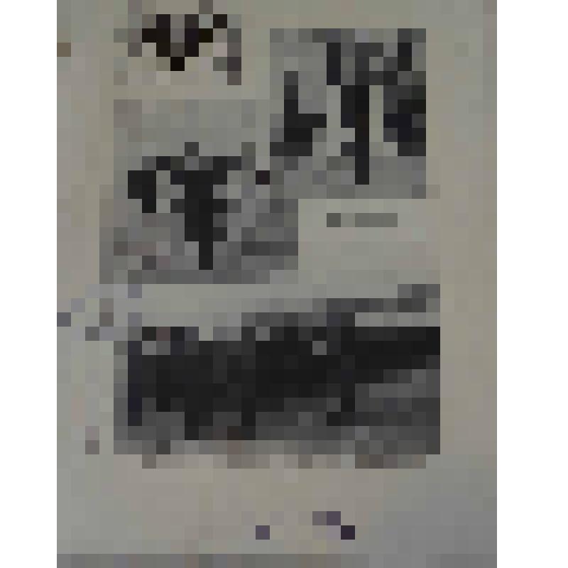 Журнал. Летопись войны с Японией. №56