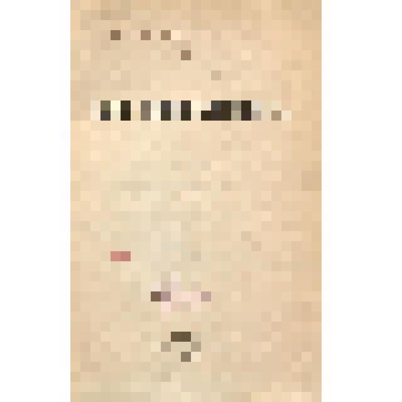 Книга. Нижегородский летописец. Работа А С Гациского