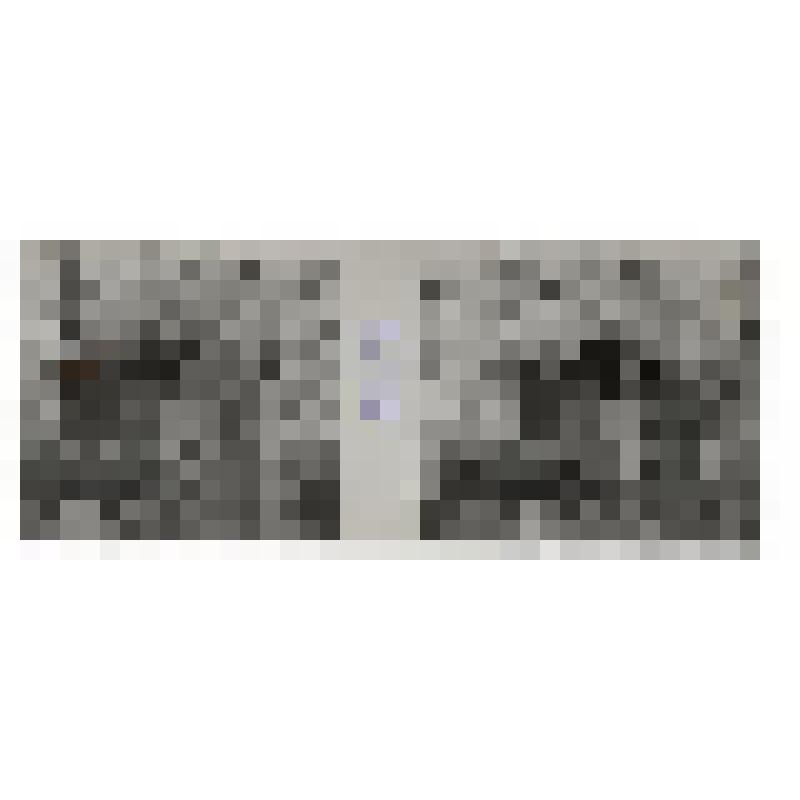 Л.Н. Толстой с женой и сыном Ильей