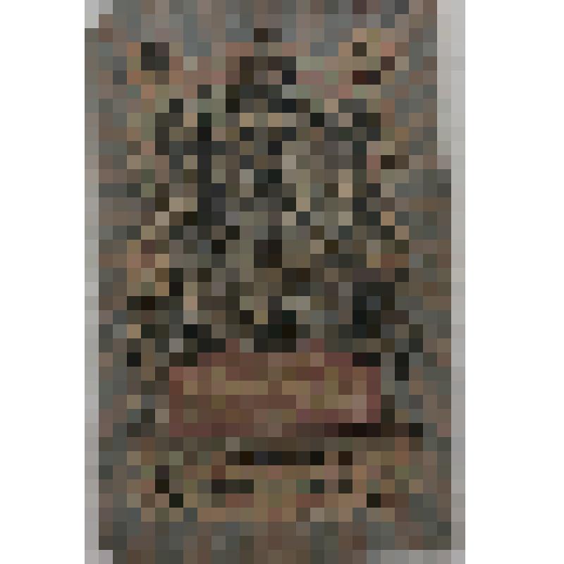 Деньги 5 рублей