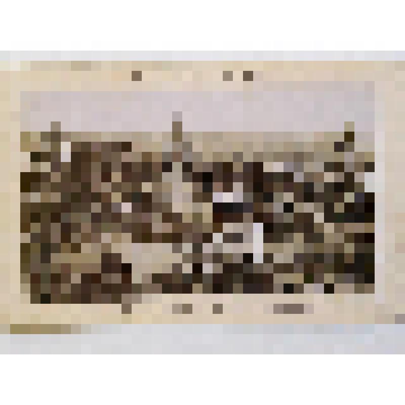 г. Киев.  Вид Подола с террасы Андреевского собора. из альбома. Общий вид. Издатель не указан