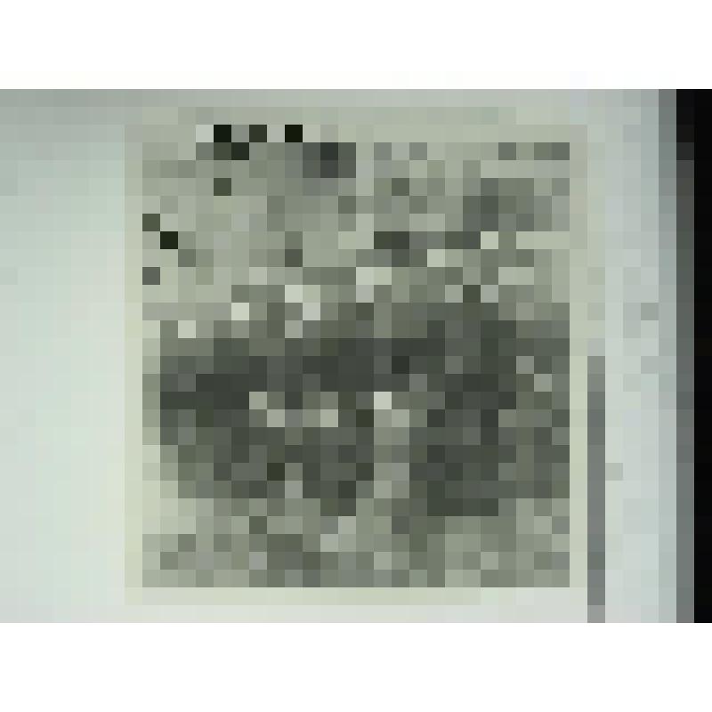 Усадьба управляющего Кусинским заводом. Главный дом. улица Андроновых, 13. 1895 г., 1909 г. Челябинская  обл., Кусинский р-н, г. Куса. Усадьба управляющего Кусинским заводом. Конюшни. улица Андроновых, 13. 1895 г., 1909 г. Тележников Ф. А. Северный фасад