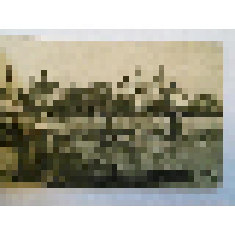 Крепостные стены и башни. Кремль 1485-1495 гг., XVII в. XVIII в.; Большой Каменный мост (Всехсвятский). 1858 г.; Кремль. XII-XXI вв. г. Москва. Кремль и Б. Каменный мост. Из серии. Воскобойников Н. Н.; Танненберг. Общий вид. Издание Московского Коммунальн