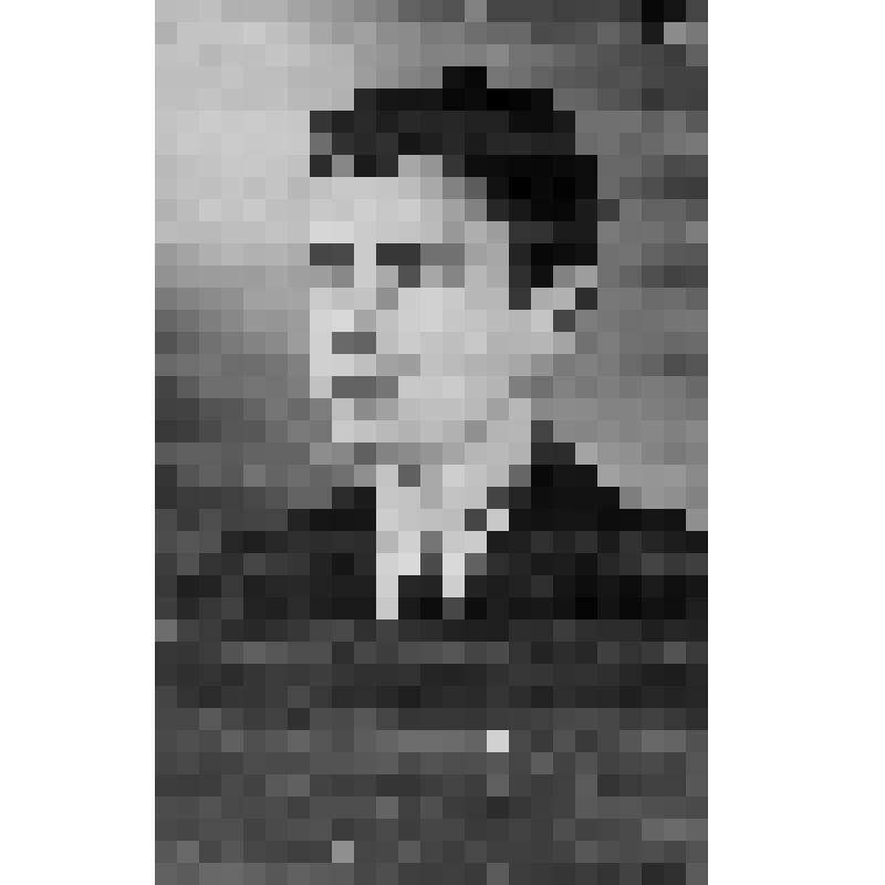 Фото ч/б. Дашков Э.И., студент Тимирязевской сельскохозяйственной академии в Москве. 11 декабря 1956 г