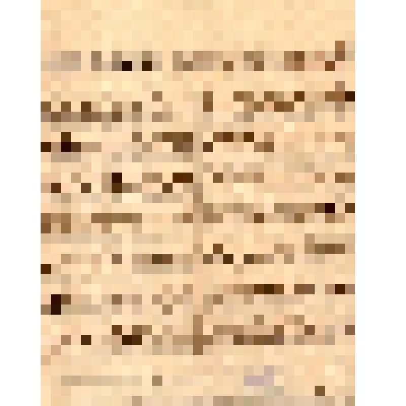 Политотдел 14-й Советской Красной армии. Как коммунисты решают земельный вопрос. Как быть с крестьянским хлебом?