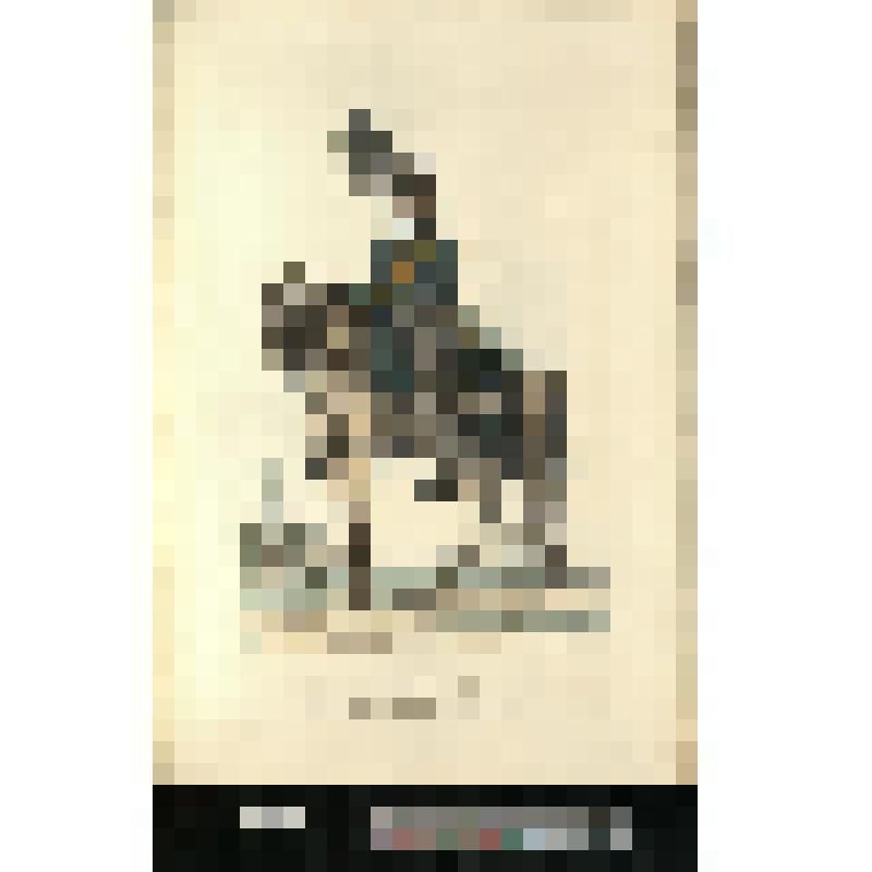 Рядовой Емтландского конно-егерского полка шведских войск