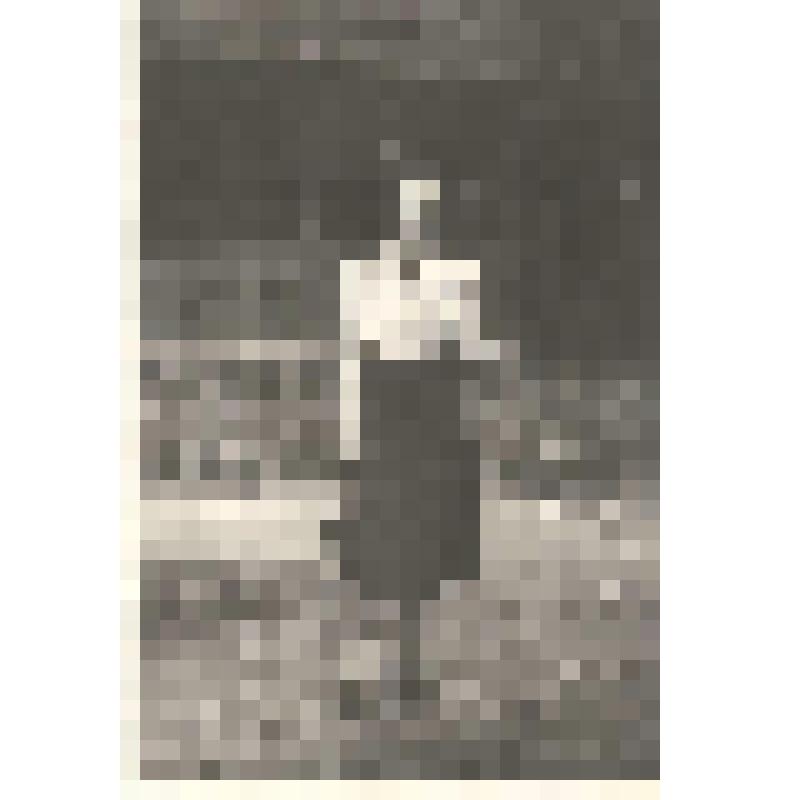 Документ. Фотография. Маргарита Петровна Малютина (в замужестве Гордиенко) на даче посольства СССР в Румынии, в пригороде г. Бухареста, 30 июня 1952 г