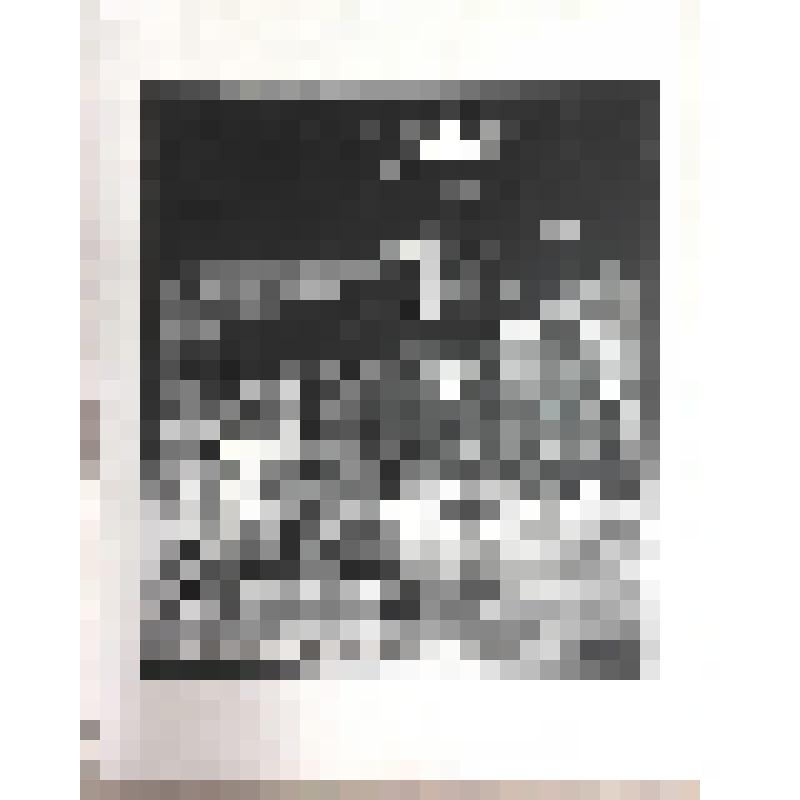 Натюрморт ("Они не вернулись...")