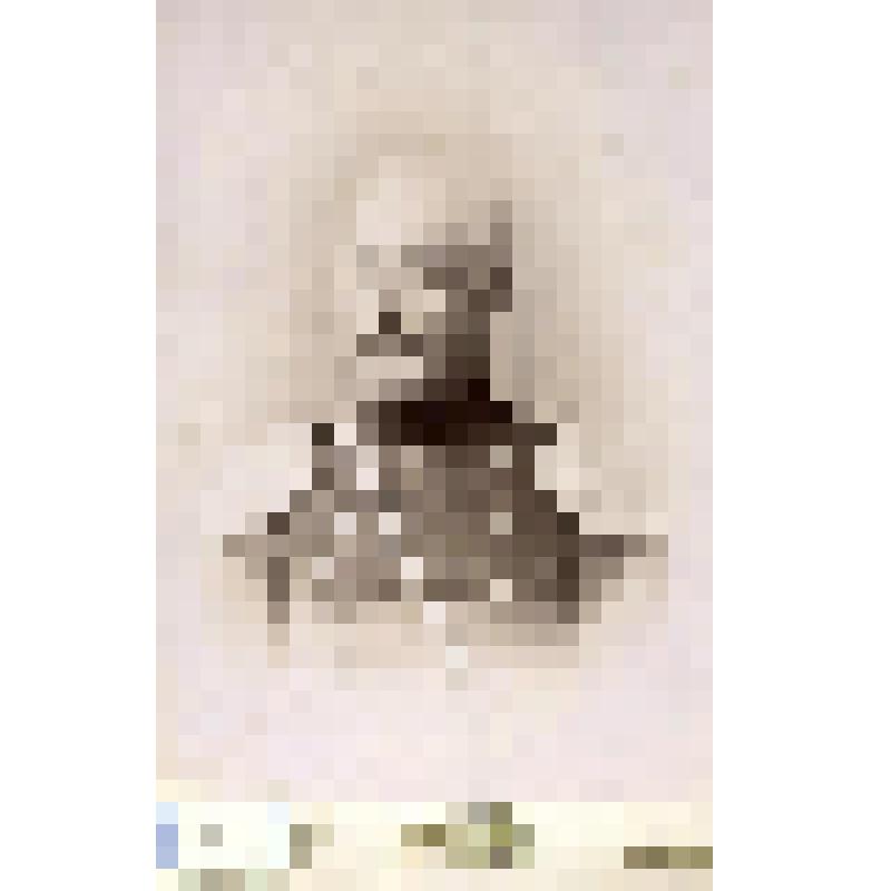 Фотография черно-белая. Сулимов Николай Ильич