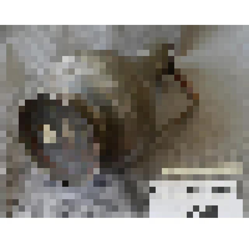 Сосуд лужёный с ручкой