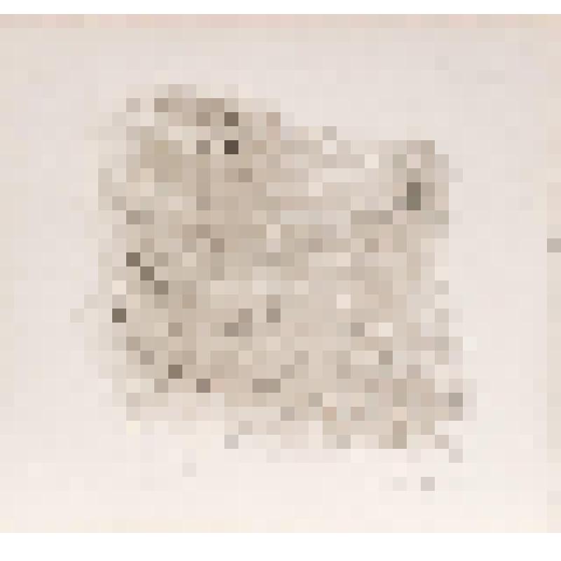 Мифологический персонаж и существа. Лист из серии «Мифы Древнего Китая»