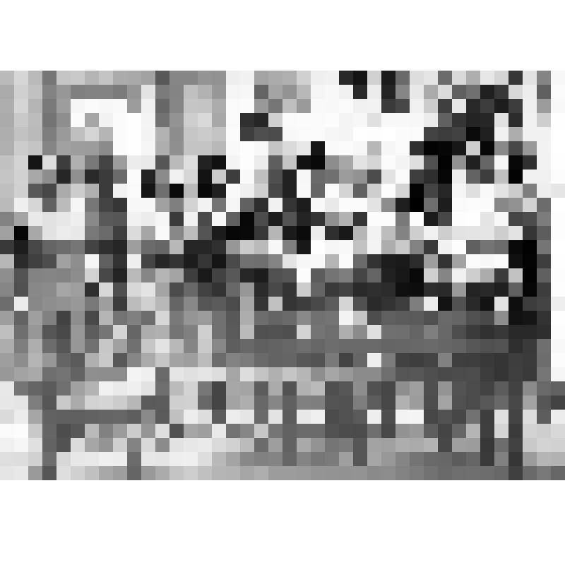 Олексенко Нина Николаевна (третья слева) среди членов клуба "Лира"