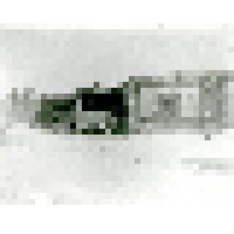 Фотография. Строения в уроч. Няльгя