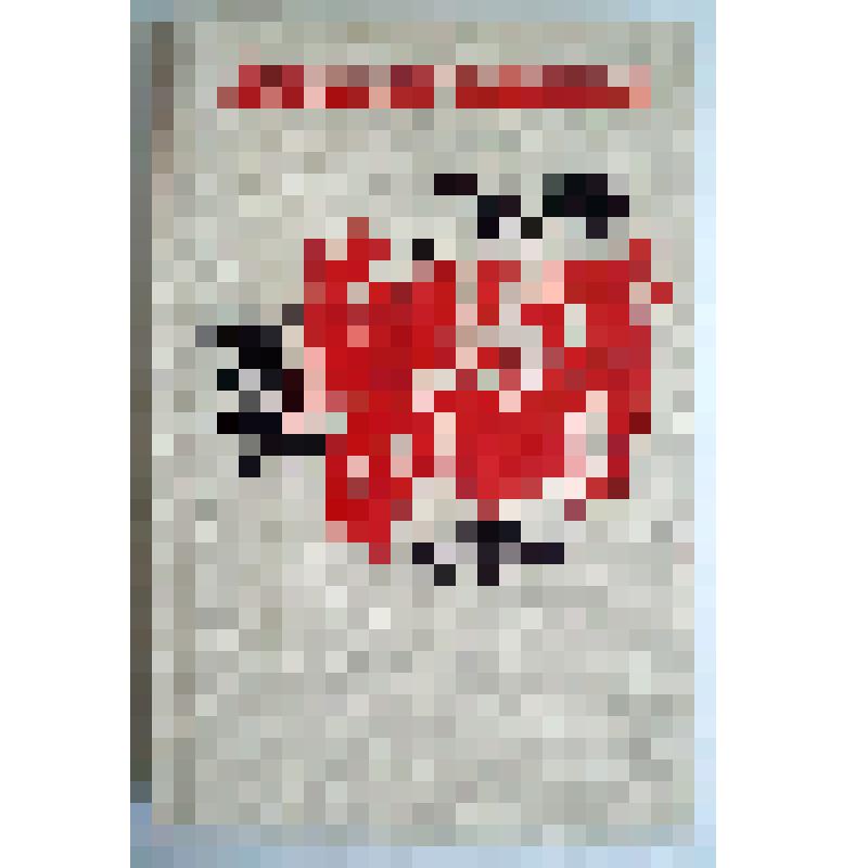 Книга "Каменск-фронту"