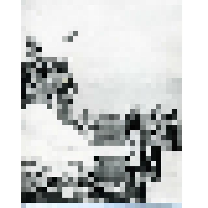 Фотография сюжетная "Открытие памятника "Вдове и матери солдата""