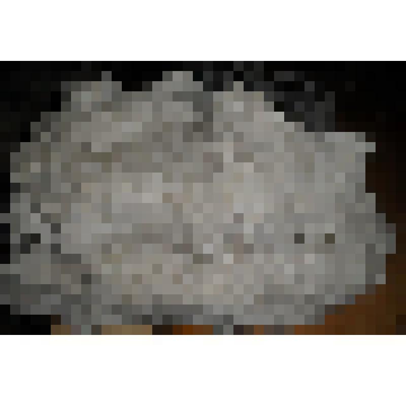 Индерборит. Северно-западный Казахстан, озеро Индер. 
Разноориентированные агрегаты копьевидных полупрозрачных белых кристаллов