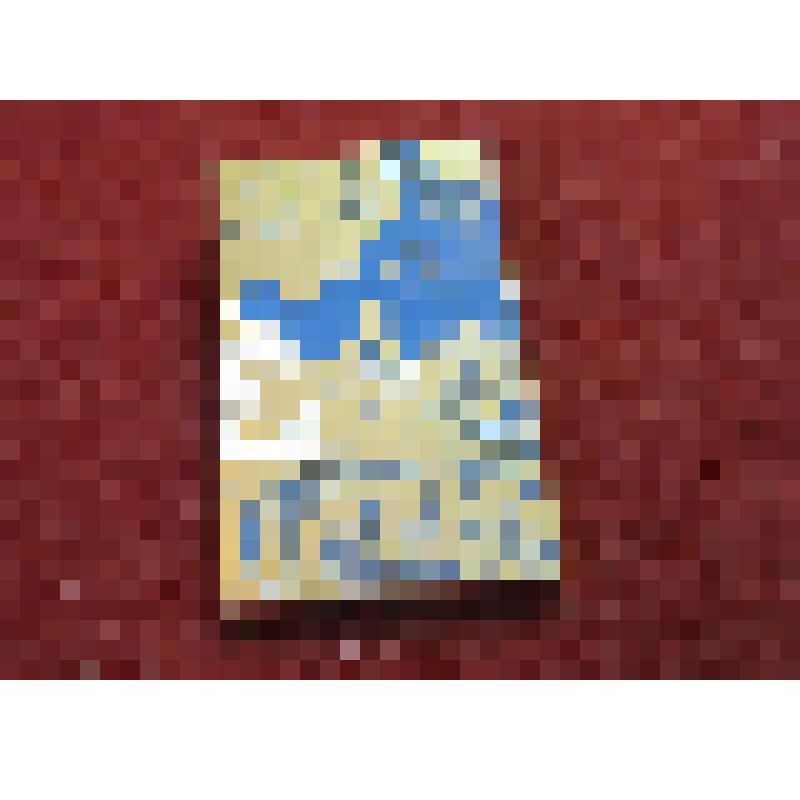 Значок. XII Всесоюзный съезд акушеров-гинекологов