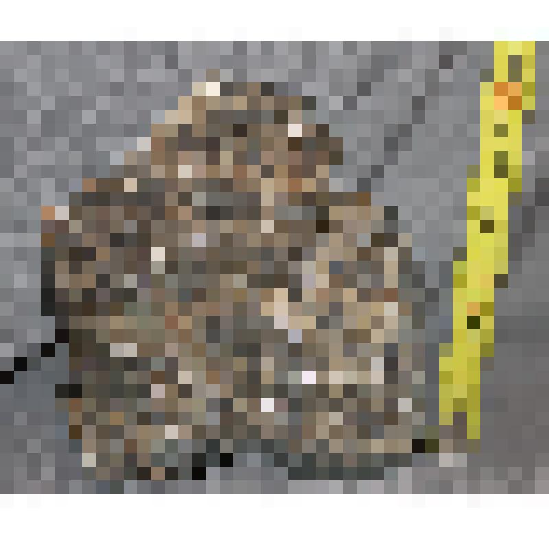 Минералогический образец. Рутил