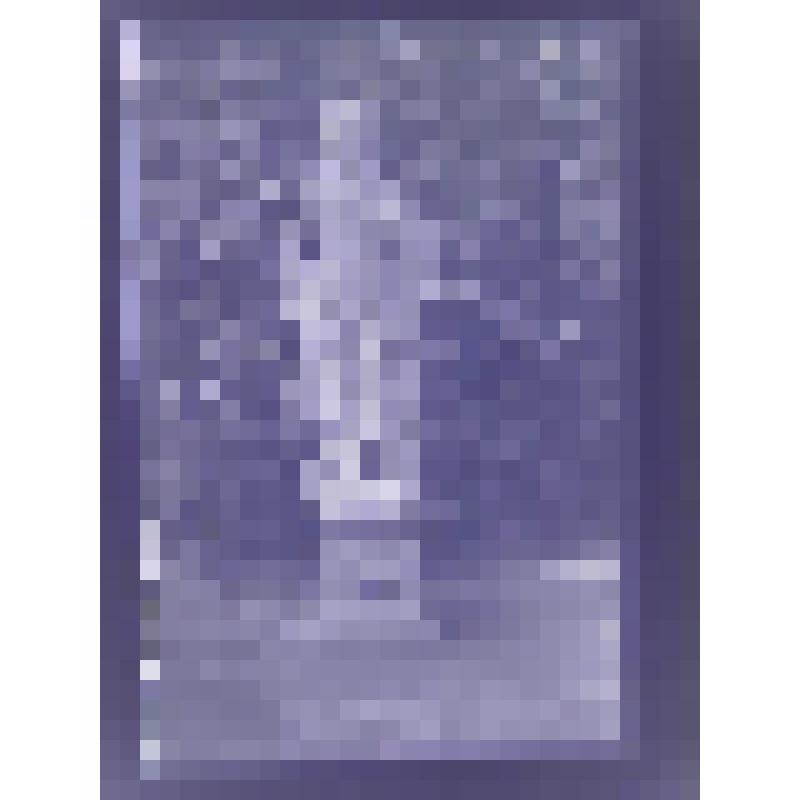 Статуя богини Полеоны. Летний сад. 1704-1720 гг. 18 в. Санкт-Петербург. Летний сад. Статуя богини Полеоны