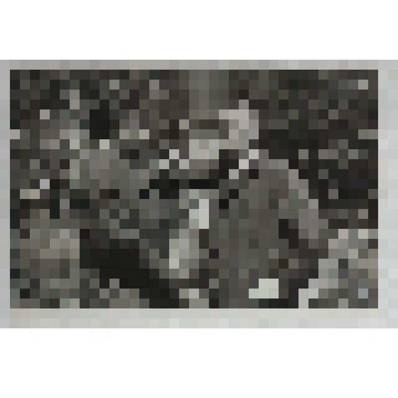 Фотография. Сюжетная. Встреча фронтовых друзей