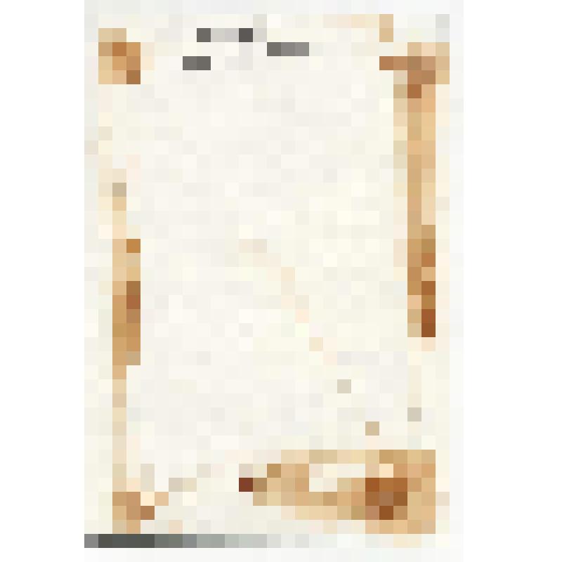 Фотография. Страничка дневника Звенигородского И.А