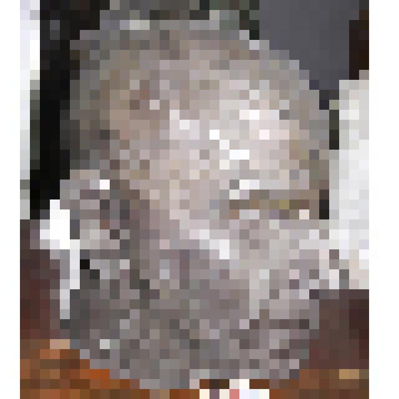 "Портрет академика  А.А. Микулина". Скульптура