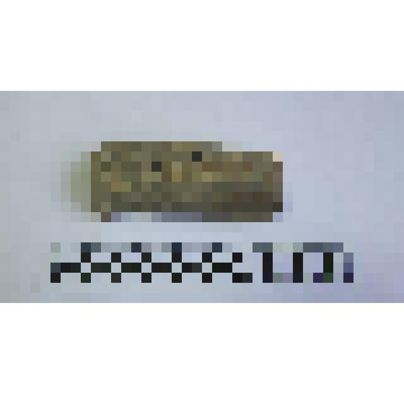 Ручка амфоры типа Зеест 72