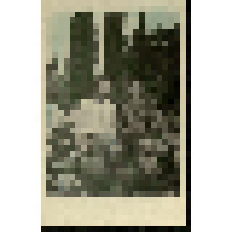 Фотография. Тевлянто на отдыхе