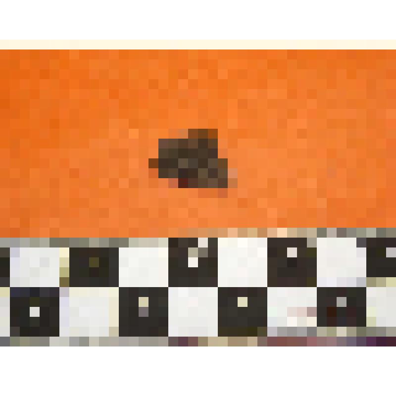 фрагменты мелкой керамики