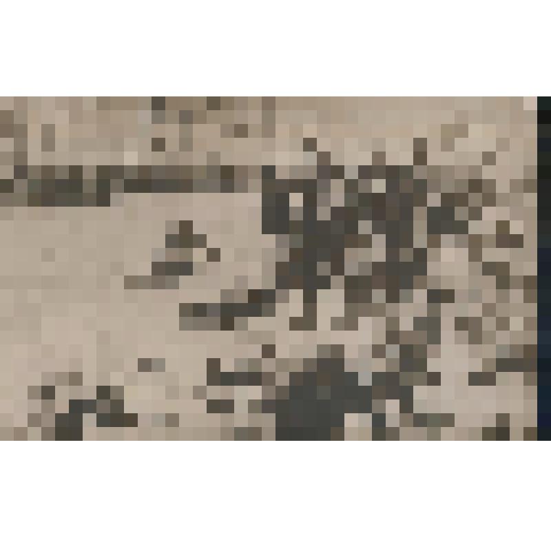 ["9 января 1905 г."] Репродукция с картины