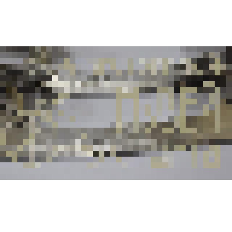 Коньки для фигурного катания. Конек(1)