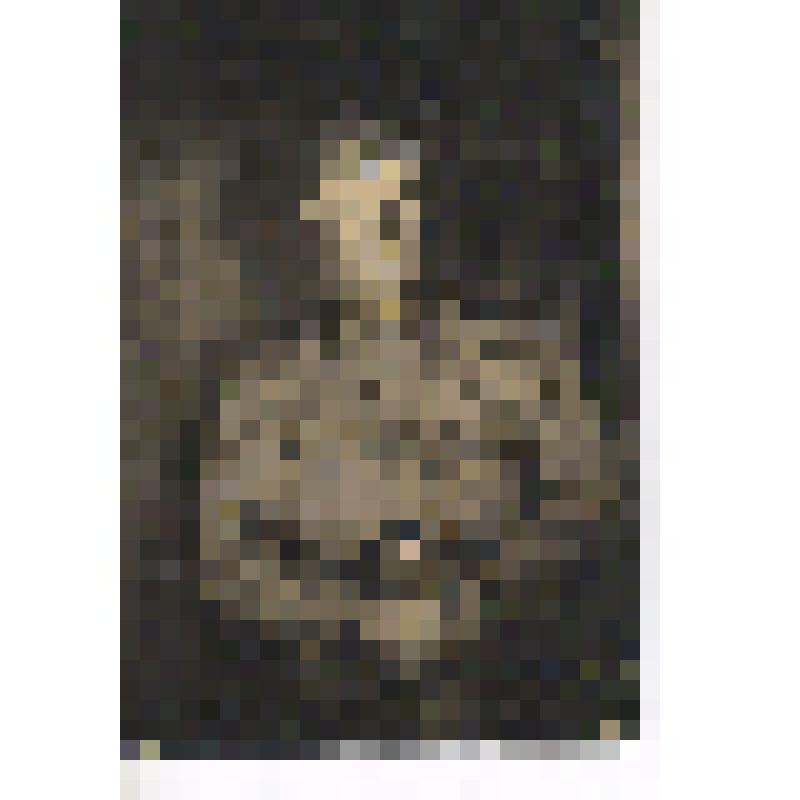 Фото. Арапов А.Я. в военной форме. 1944г