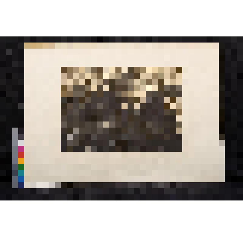 Буря, из альбома "Мотивы родного пейзажа"