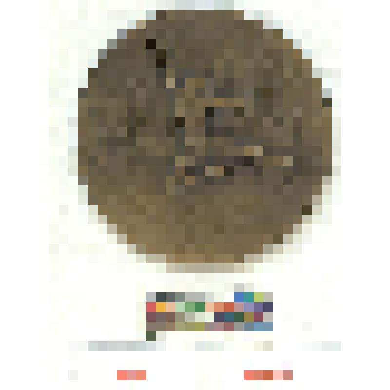 СССР. Медаль. II-й конкурс балета. Москва, 1973 г. III место (мужчины)