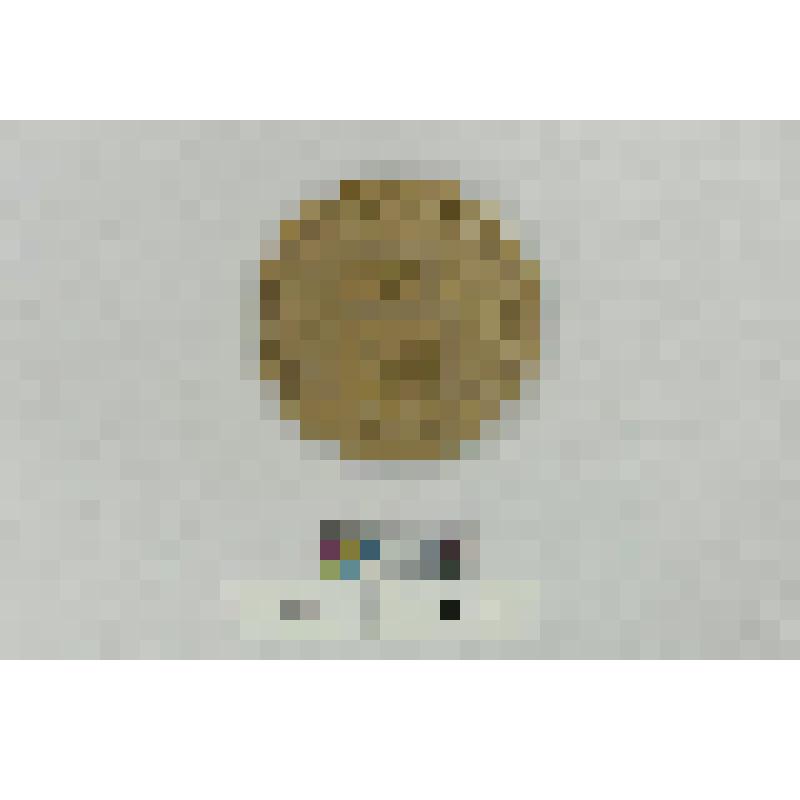 СССР. Медаль. XVI хоккейный турнир олимпийских сборных на приз "Ленинградской правды". 1990 г