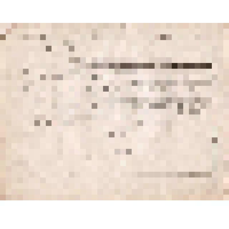 Телеграмма № 1813 в г. Чердынь В. Н.Алину от Боровских из г. Уфы, 28.11.1890 г